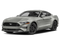 2019 Ford Mustang GT Premium Performance Pkg