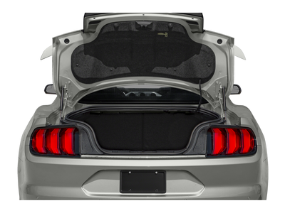 2019 Ford Mustang GT Premium Performance Pkg