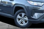 2025 Toyota RAV4 XLE AWD